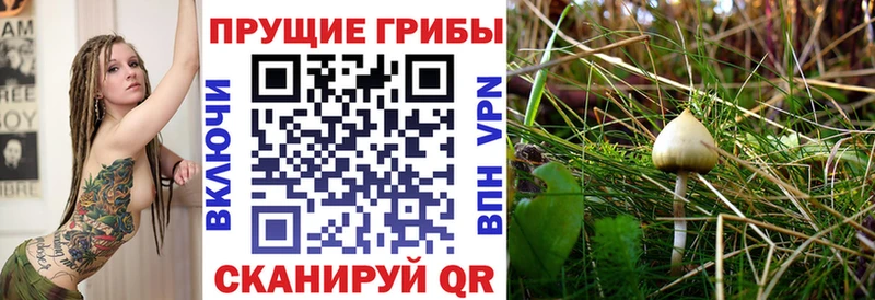 Псилоцибиновые грибы MAGIC MUSHROOMS блэк спрут вход Ленинградская закладки